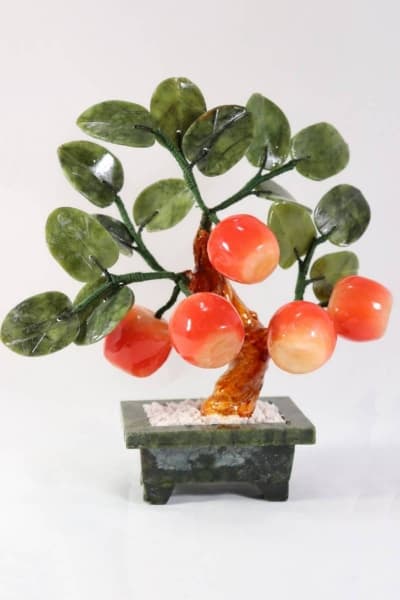 Яблоня  с 5-ю плодами