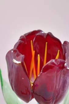 Подарок из стекла Тюльпан Бордо