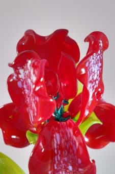 Подарок из стекла Ирис красный