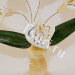 Цветы