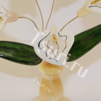 Цветы